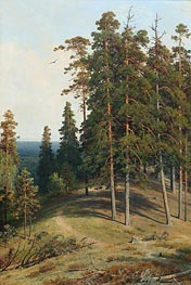 Ivan Shishkin | Pine on a Sandy Soil | Giclée Canvas Print