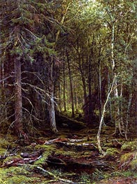 Ivan Shishkin | Backwoods, 1872 | Giclée Canvas Print