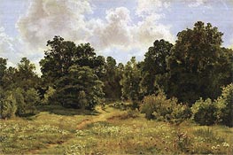 Ivan Shishkin | Edge of Deciduous Woods, 1895 | Giclée Canvas Print