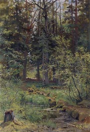 Ivan Shishkin | Forest Landscape, 1889 | Giclée Canvas Print