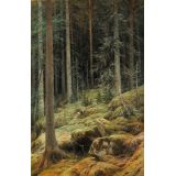The Wilds | Ivan Shishkin