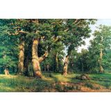 Oak Grove, 1887 - Ivan Shishkin