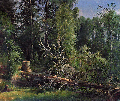 Felled Tree, 1875 | Ivan Shishkin | Giclée Leinwand Kunstdruck
