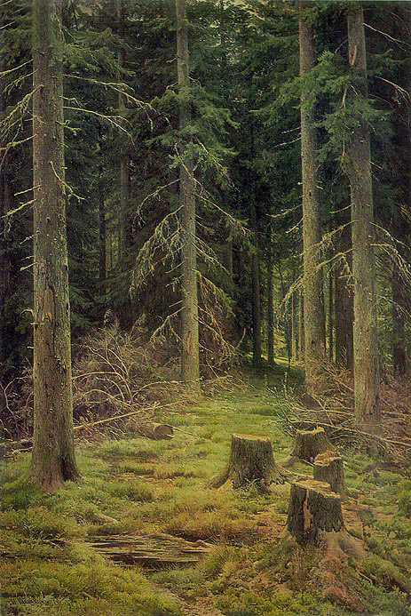 Nadelwald, 1873 | Ivan Shishkin | Giclée Leinwand Kunstdruck