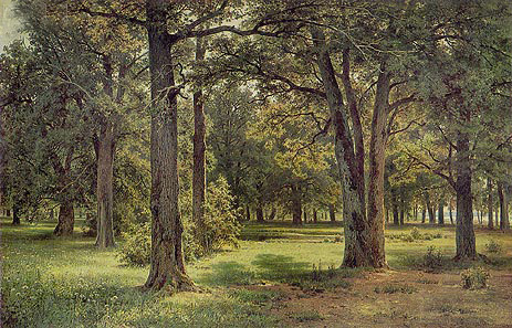 Eichenhain von Peter dem Großen in Sestrorezk, 1886 | Ivan Shishkin