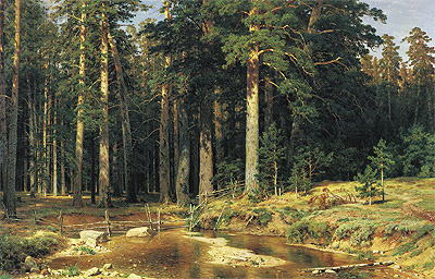 Mast-Tree Grove, 1898 | Ivan Shishkin | Giclée Canvas Print