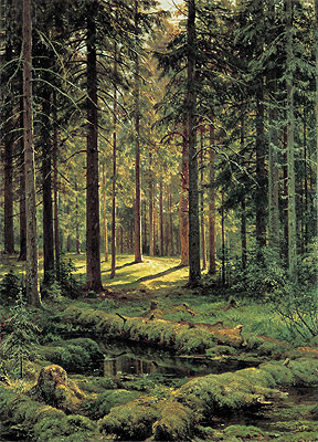 Pine Forest, Sunny Day, 1895 | Ivan Shishkin | Giclée Leinwand Kunstdruck