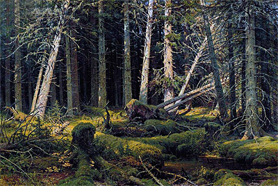Vom Wind gefällte Bäume (Wologda-Wälder), 1888 | Ivan Shishkin