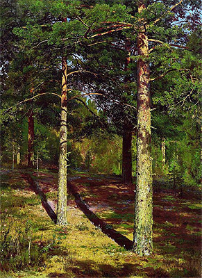 Pine Trees Lit Up by the Sun, 1886 | Ivan Shishkin | Giclée Leinwand Kunstdruck