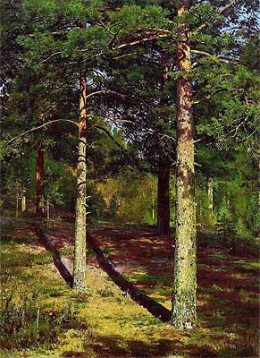 Von der Sonne beschienene Kiefern, 1886 | Ivan Shishkin