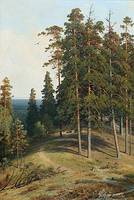 Pine on a Sandy Soil, 1895 | Ivan Shishkin | Giclée Canvas Print