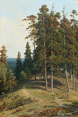 Kiefern auf sandigem Boden, 1895 | Ivan Shishkin