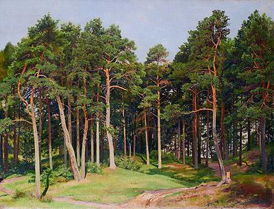 Ivan Shishkin | Pine Forest, Merrekyul, 1894 | Giclée Canvas Print