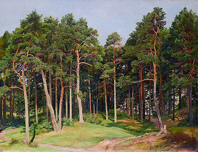Kiefernwald, Merrekyul, 1894 | Ivan Shishkin
