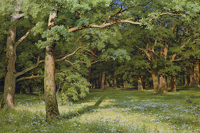 The Forest Clearing, 1896 | Ivan Shishkin | Giclée Leinwand Kunstdruck