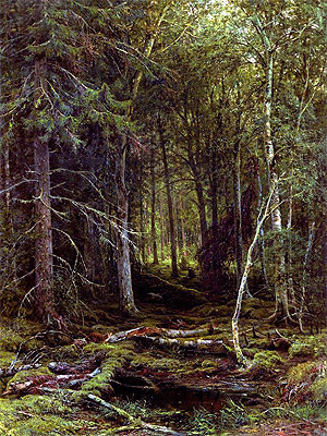 Hinterwälder, 1872 | Ivan Shishkin
