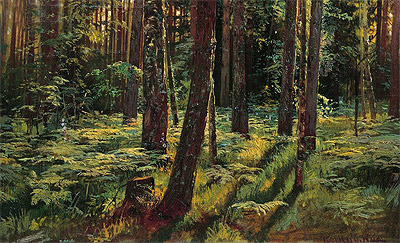 Farne im Wald. Siverskaya, 1883 | Ivan Shishkin