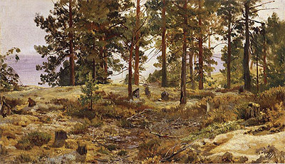 Auf sandigem Boden, c.1889/90 | Ivan Shishkin