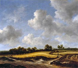Landscape with a Wheatfield, c.1655/65 by Ruisdael | Canvas Print