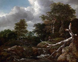 Ruisdael | Forest Scene | Giclée Canvas Print