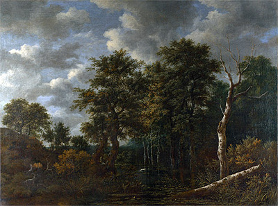 A Pool Surrounded by Trees, c.1665 | Ruisdael | Giclée Canvas Print