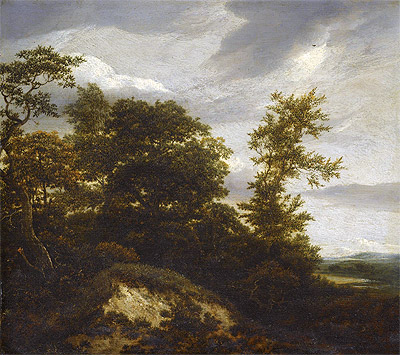 A Wooded Dune Landscape, n.d. | Ruisdael