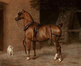 A Carriage Horse | Jacques-Laurent Agasse | Painting Reproduction