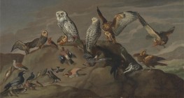 Vogelstudien, c.1840 | Jacques-Laurent Agasse