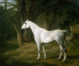 Porträt eines Pferdes, n.d. | Jacques-Laurent Agasse
