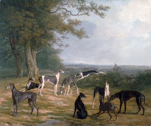Jacques-Laurent Agasse | Nine Greyhounds in a Landscape, c.1807 | Giclée Canvas Print