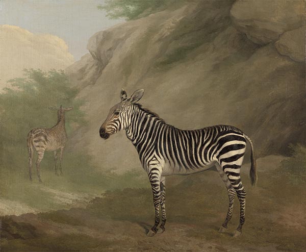 Zebra, 1803 | Jacques-Laurent Agasse | Giclée Canvas Print