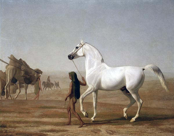 The Wellesley Grey Arabian Led through the Desert, c.1810 | Jacques-Laurent Agasse | Giclée Canvas Print