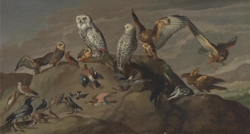Vogelstudien, c.1840 | Jacques-Laurent Agasse | Giclée Leinwand-Kunstdruck