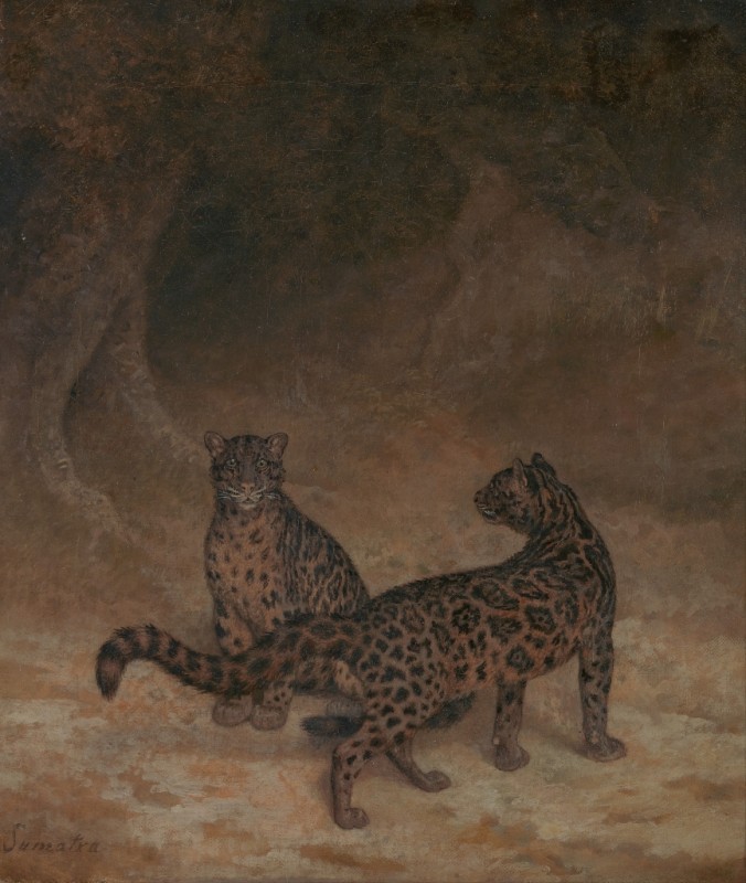 Wolkenleoparden, 1825 | Jacques-Laurent Agasse | Giclée Leinwand-Kunstdruck
