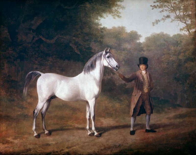 Pferd und Stallbursche, n.d. | Jacques-Laurent Agasse | Giclée Leinwand-Kunstdruck