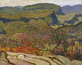 James Edward Hervey Macdonald | Forest Wilderness | Giclée Canvas Print