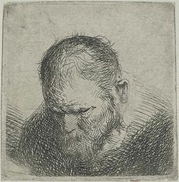 Bearded Man Looking Down | Jan Lievens | Painting Reproduction