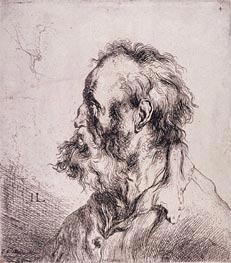 Bust of an Old Man, undated by Jan Lievens | Paper Art Print