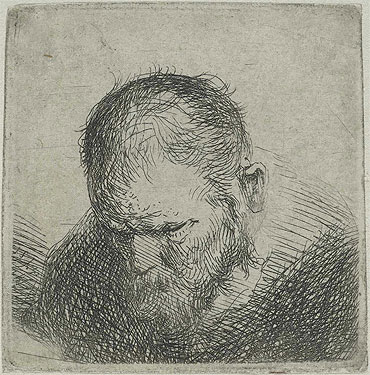 Bearded Man Looking Down, c.1631 | Jan Lievens | Giclée Paper Print
