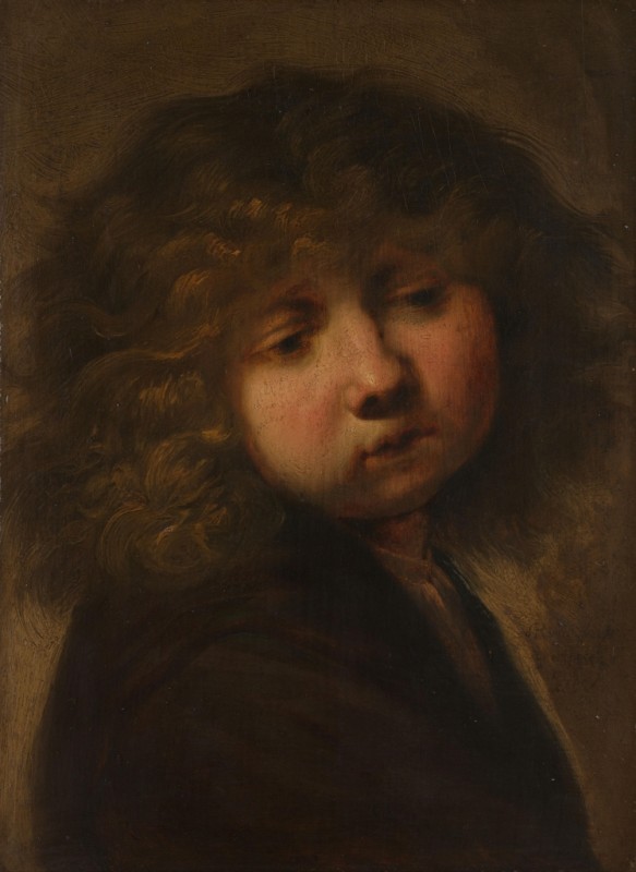 Head of a Boy, 1643 | Jan Lievens | Giclée Canvas Print