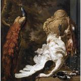 Peacock and Hunting Trophies | Jan Weenix