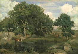 Wald von Fontainebleau, 1846 von Corot | Leinwand Kunstdruck