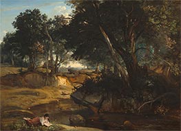 Wald von Fontainebleau, 1834 von Corot | Leinwand Kunstdruck