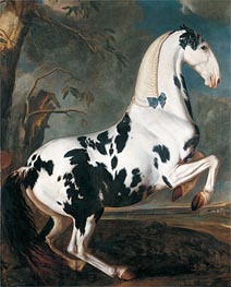 Johann Georg Hamilton | The Piebald Stallion at the Eisgruber Stud, 1700 | Giclée Canvas Print