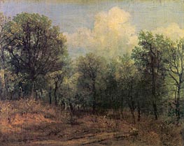 A Wood, c.1802 by Constable | Canvas Print