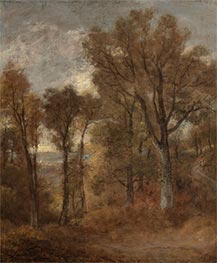 Waldszene mit Blick auf Dedham Vale, c.1802/03 von Constable | Leinwand Kunstdruck