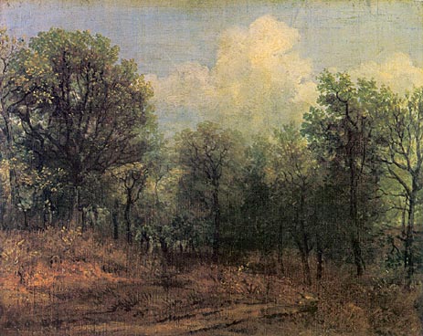 Ein Wald, c.1802 | Constable | Giclée Leinwand Kunstdruck