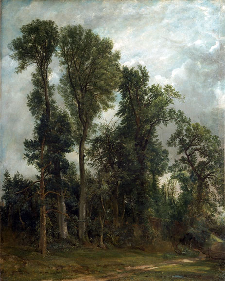 Bäume am Hampstead, 1821 | Constable | Giclée Leinwand Kunstdruck