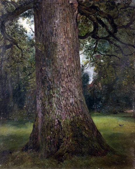 Study of the Trunk of an Elm Tree, c.1821 | Constable | Giclée Canvas Print