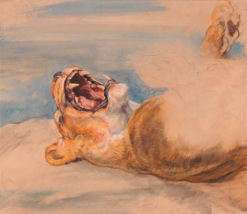 Studie einer Löwin, c.1824 | John Frederick Lewis | Giclée Papier-Kunstdruck